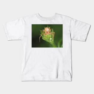 Spider identified as Philodromus sp. - running crab spider Kids T-Shirt